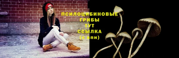 бутират Алексин