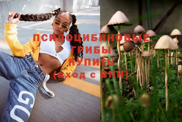 бутират Алексин