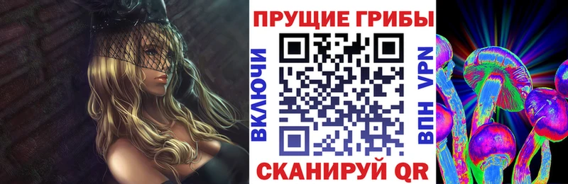 omg онион  Усолье-Сибирское  Псилоцибиновые грибы Psilocybe 