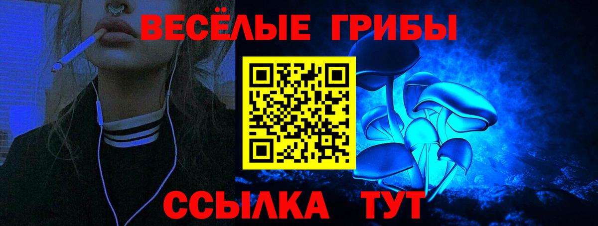 Галлюциногенные грибы Cubensis Усолье-Сибирское
