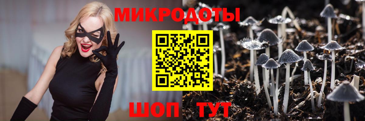 купить  сайты  Вход с VPN  Галлюциногенные грибы Magic Shrooms  Усолье-Сибирское  Галлюциногенные грибы ЛСД 