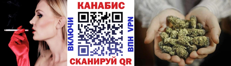 закладки  Усолье-Сибирское  Канабис сатива 